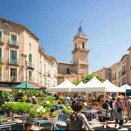 La Perriere Holiday home Pezenas